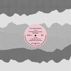 Homewreckers Confusion Vinyl LP