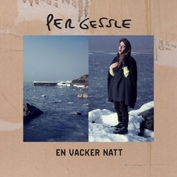 Per Gessle En Vacker Natt Vinyl LP