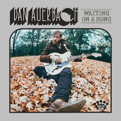 Dan Auerbach Waiting On A Song VINYL LP
