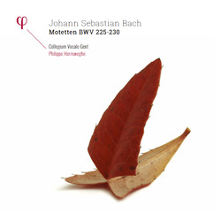 BachJ.S. / Collegium Vocale Gent / Herreweghe Johann Sebastian Bach: Motetten Bwv 225-230 VINYL LP