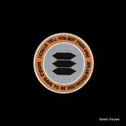 Basic House I Could Tell You But Then You Would Have To Be Vinyl LP