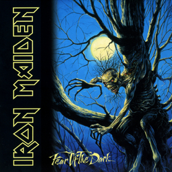 Iron Maiden Fear Of The Dark 180gm VINYL 2 LP