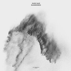 Suso Saiz Rainworks Vinyl LP