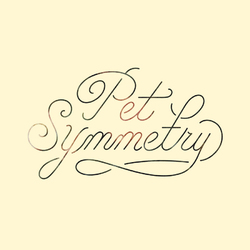 Pet Symmetry Vision 180gm Vinyl LP