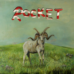 Alex G Rocket VINYL LP