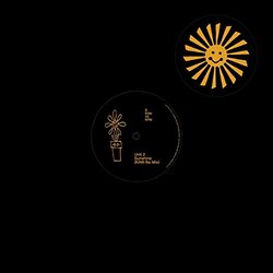Unit 2 Sunshine (Remixes) Vinyl LP