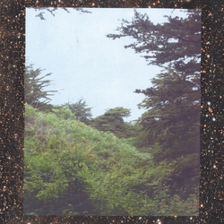Jinsang Life Vinyl LP
