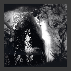 Pisetzky Tears Of A Rough Machine 2 Vinyl 12"