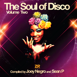 NegroJoey / Sean P. Soul Of Disco 2 Vinyl 2 LP