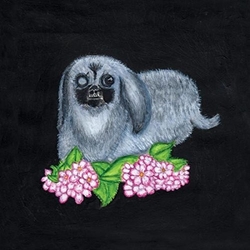 Guadalupe Plata Guadalupe Plata 2017 Vinyl LP