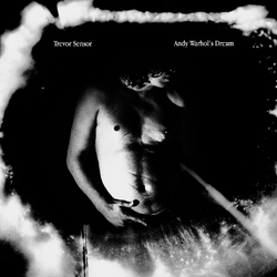Trevor Sensor Andy Warhol's Dream Coloured Vinyl LP