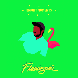 Flamingosis Bright Moments Vinyl LP
