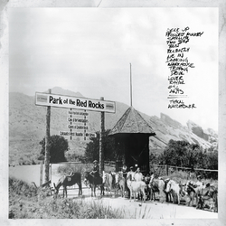 Dave Matthews Live At Red Rocks 8.15.95 150gm box set Vinyl 4 LP +Download