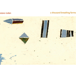 Steve Roden Thousand Breathing Forms box set 6 CD