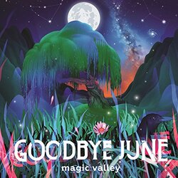 Goodbye June Magic Valley Vinyl LP