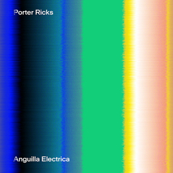 Porter Ricks Anguilla Electrica Vinyl LP