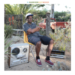 DJ Harrison HazyMoods Vinyl LP