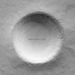 Robot Koch Fluid Vinyl 12"