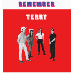 Terry Remember Terry Vinyl LP