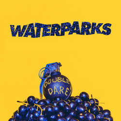 Waterparks Double Dare Vinyl LP