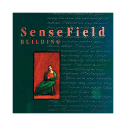 Sense Field Building Vinyl LP