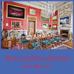 Sean Mccann Music For Public Ensemble Vinyl 2 LP