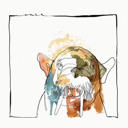 Quantum Collage Lucid Dreaming Vinyl 12"