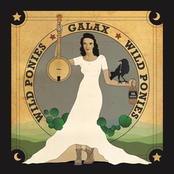 Wild Ponies Galax VINYL LP