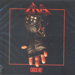 Chuck Norris Experiment Chuck Me Vinyl LP