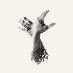 Last Dinosaur Nothing Vinyl LP
