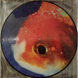 Vince Staples Big Fish Theory Vinyl LP