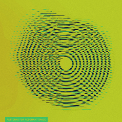 Sontag Shogun Patterns For Resonant Space Vinyl LP