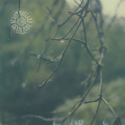 Benoit Pioulard Lignin Poise Vinyl LP