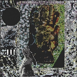 Dog Trash Temple VINYL LP