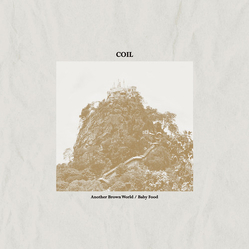 Coil Another Brown World / Baby Food Vinyl LP