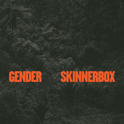 Skinnerbox Gender Vinyl 12"