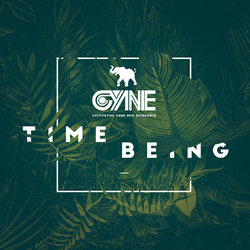 Cyne Time Being Vinyl 3 LP
