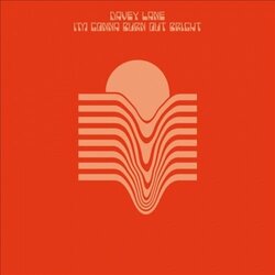 Davey Lane I'm Gonna Burn Out Bright Vinyl LP