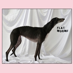 Flat Worms Flat Worms VINYL LP