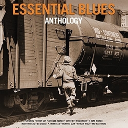 Various Artist Essential Blues Anthology 180gm Vinyl 2 LP +g/f
