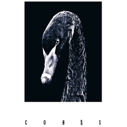 Coh Cohgs Vinyl LP
