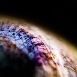 Emptyset Skin Vinyl 12"