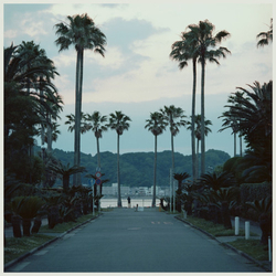 Submerse Are You Anywhere Vinyl LP