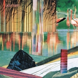 Group Rhoda Wilderless VINYL 12INCH