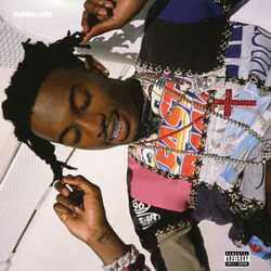 Playboi Carti Playboi Carti VINYL LP
