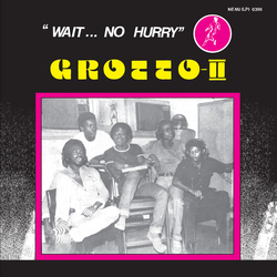 Grotto Grotto Ii: Wait No Hurry Vinyl LP
