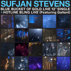 Sufjan Stevens Carrie & Lowell Live Vinyl 12"