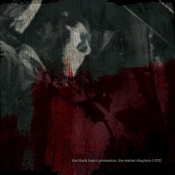 Black Heart Procession Waiter Chapters I-Viii Vinyl LP