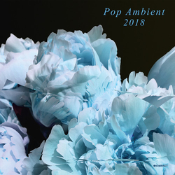 Various Artist Pop Ambient 2018 Vinyl LP