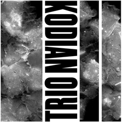 Kodian Trio Ii Vinyl LP